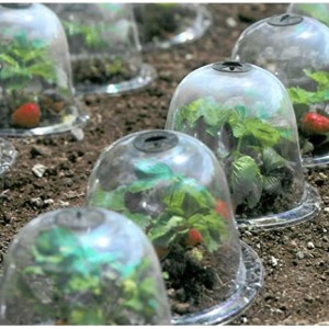 10pcs/set 10" GrowAway Reusable Plastic Greenhouse