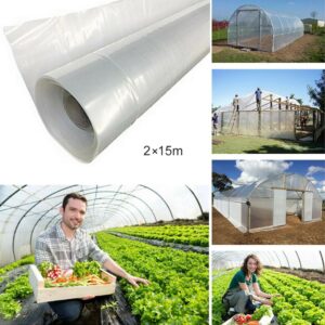 15m Transparent Vegetable Greenhouse Agricultural