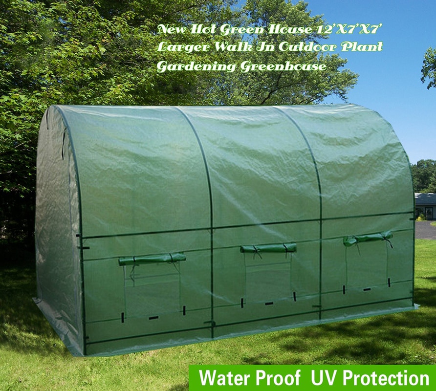 AULAYSED New Hot Green House Larger Walk - Image 2