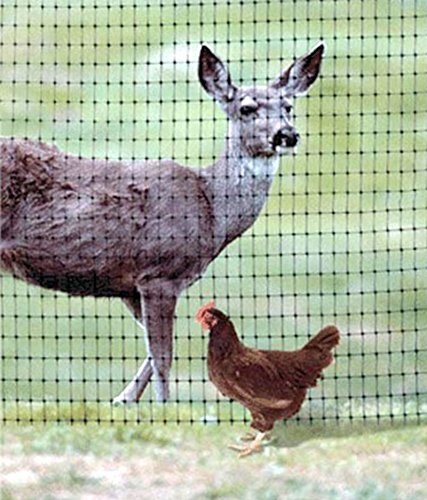 24-Strands Heavy Anti Bird Netting Deer fence Garden fence and Crops Protective Fencing Mesh Anti Bird Deer Cat Dog Chicken Net - Image 3