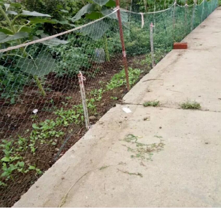 24-Strands Heavy Anti Bird Netting Deer fence Garden fence and Crops Protective Fencing Mesh Anti Bird Deer Cat Dog Chicken Net - Image 4